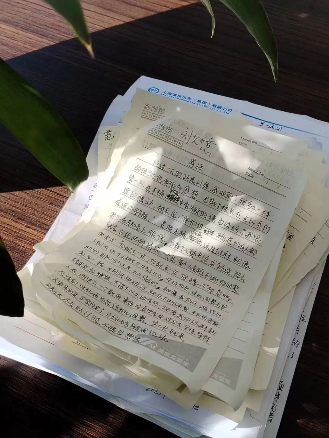 西点铁军涅槃集训 是什么让你热泪盈眶？,团建，新员工团建